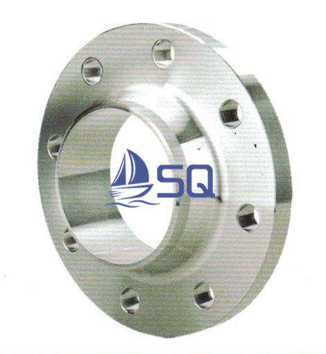 Marine Connector Dn40 DIN 40kg Lapped Falnges with Collar Flange