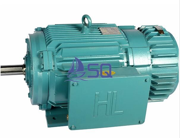 Three-phase induction Motors for lifting